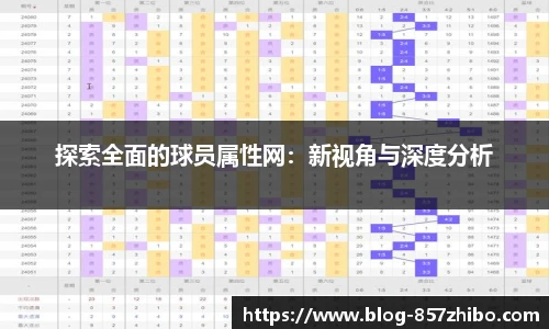 探索全面的球员属性网：新视角与深度分析