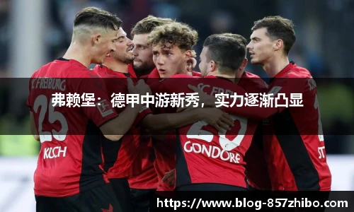 弗赖堡：德甲中游新秀，实力逐渐凸显
